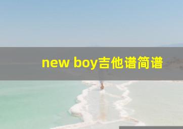 new boy吉他谱简谱